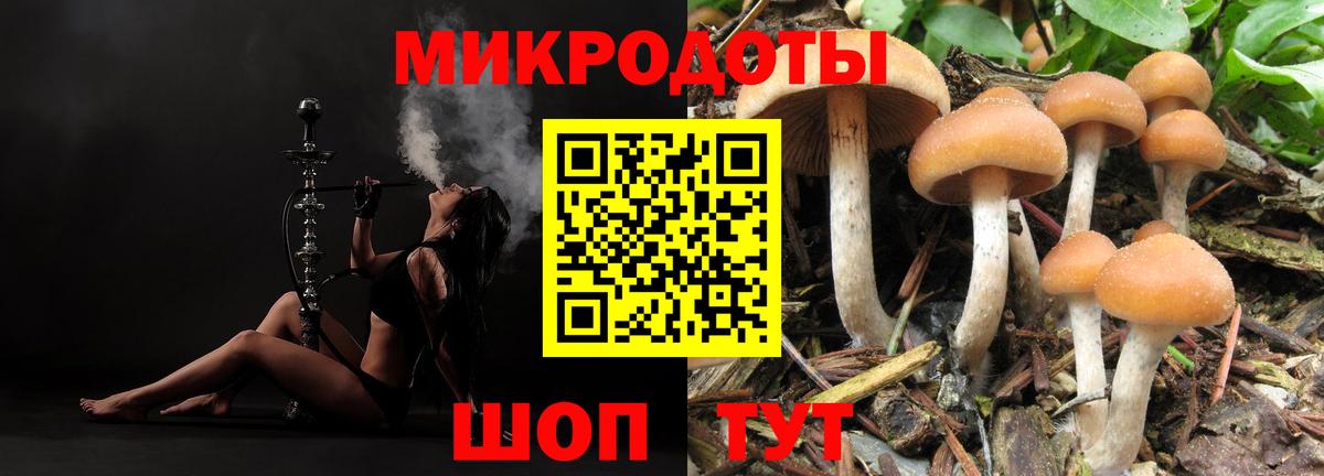 Галлюциногенные грибы GOLDEN TEACHER Шелехов